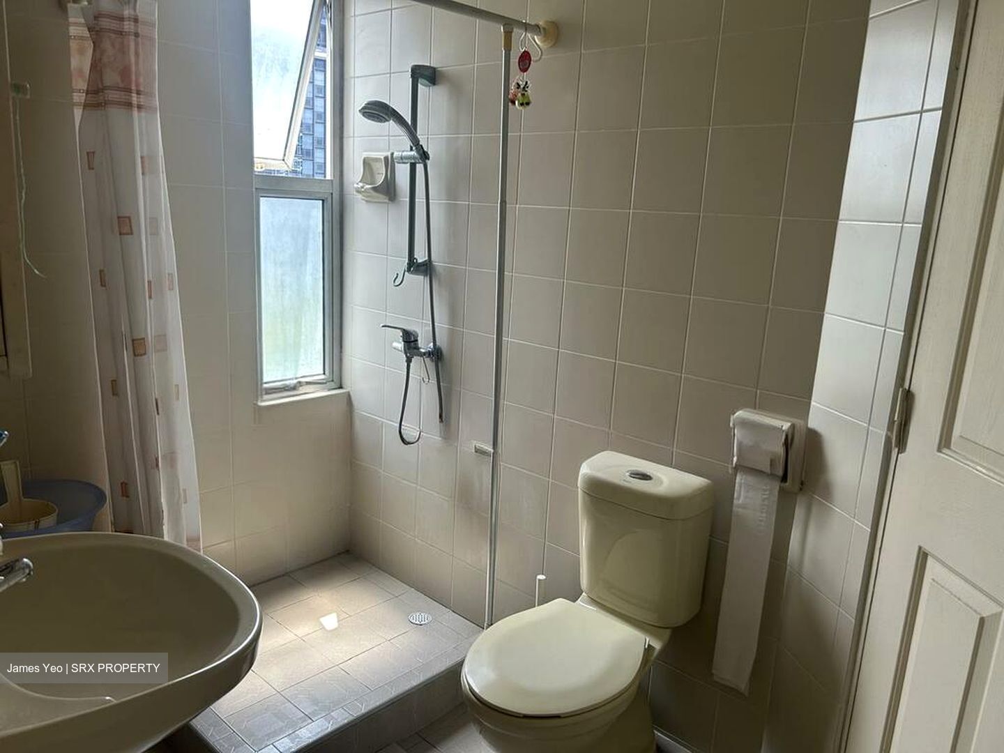 Pandan Valley (D21), Condominium #571826741